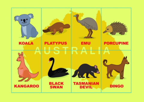 Play me Kiddo Zwierzątka Australijskie, maty edukacyjne, angielski, gra językowa, gra ruchowa, pomoce dydaktyczne