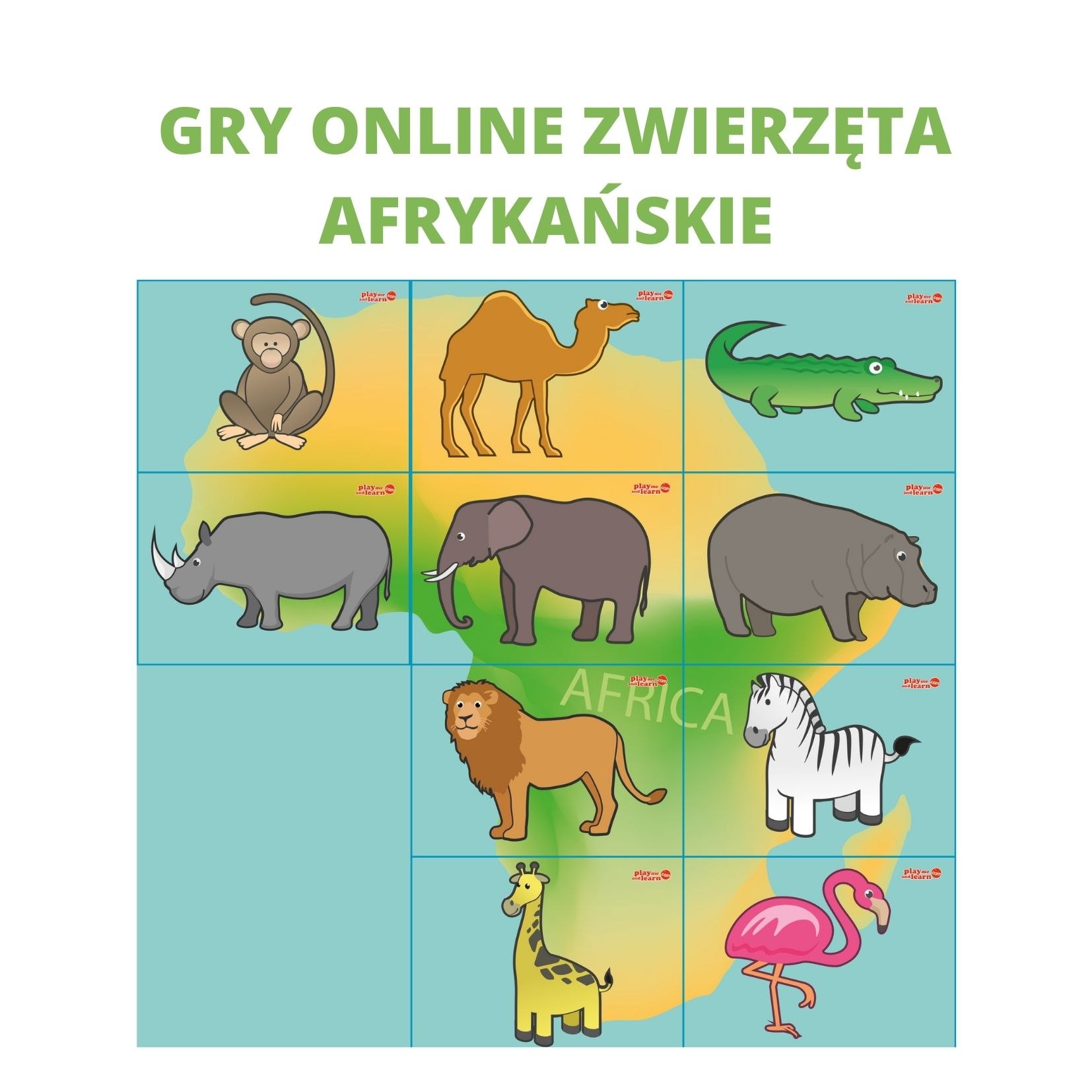 Gry online - Zwierzęta afrykańskie